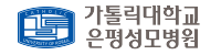 가톨릭대학교 은평성모병원 협력병원 로고